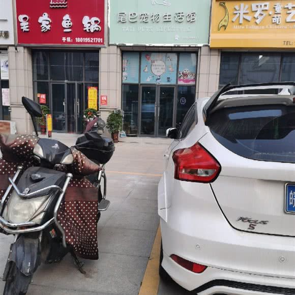 尾巴宠物生活馆:芜湖市无为市无为市附近