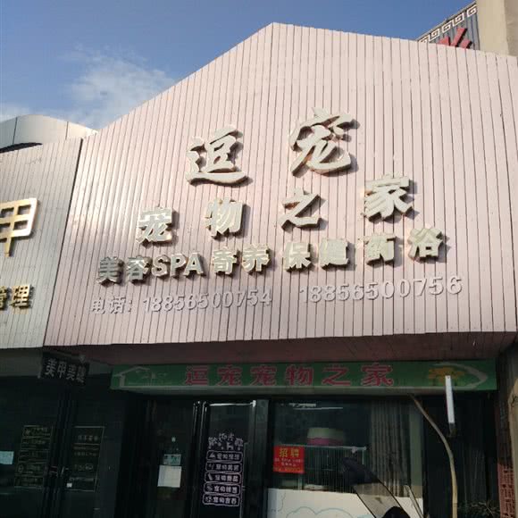 逗宠宠物之家:芜湖市无为市无为市附近