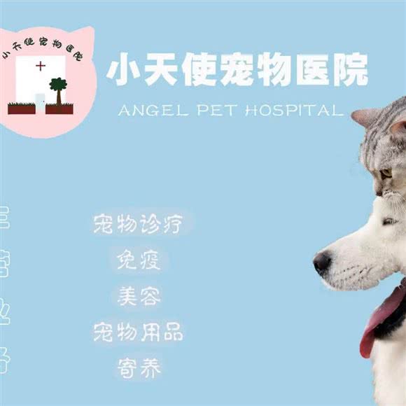 无为市天使宠物医院:芜湖市无为市无为市附近