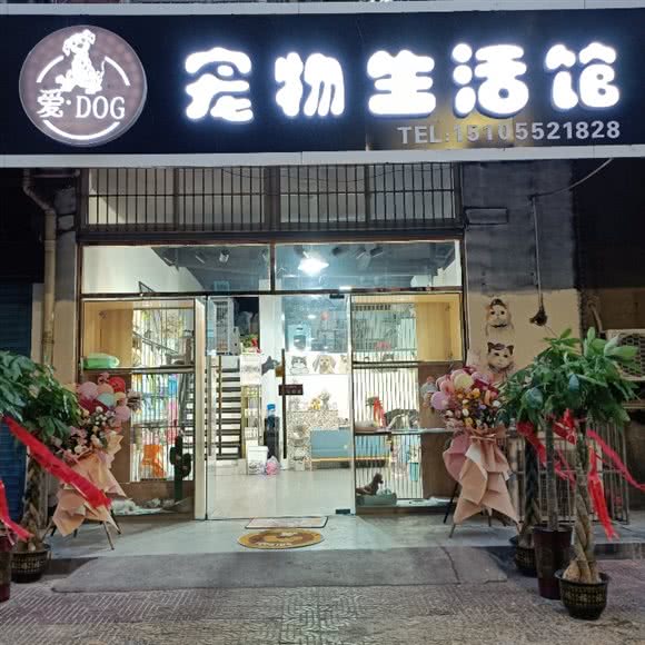 爱DOG狗狗生活馆:蚌埠市龙子湖区交通路附近