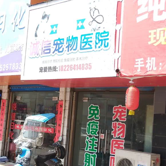 廉洁宠物医院:蚌埠市龙子湖区解放路附近
