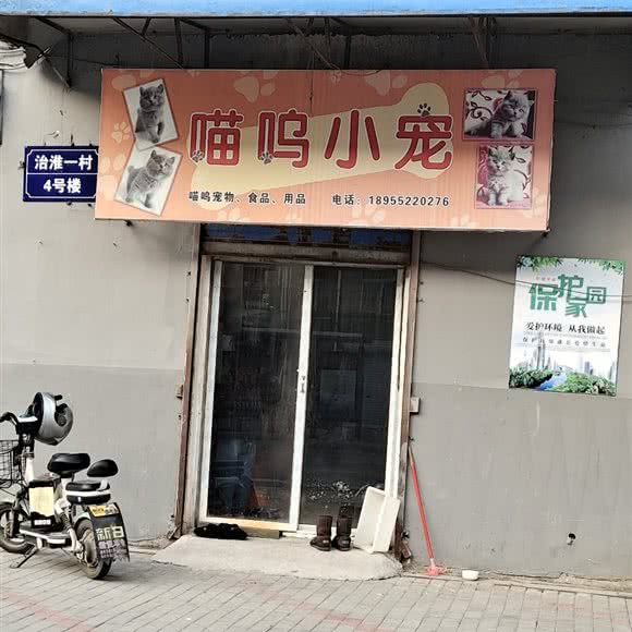 喵呜小宠:蚌埠市龙子湖区蚌埠医学院第一附属医院附近