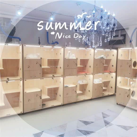 宠迹猫咪酒店·寄养·撸猫·借配·猫咪寄售 (亦庄店):北京城区大兴区亦庄附近