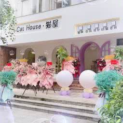 CatHouse猫屋·猫咖:蚌埠市蚌山区淮河城市广场附近