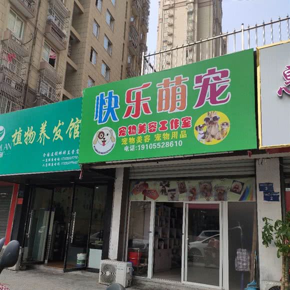 幸福萌宠:蚌埠市蚌山区工农路附近