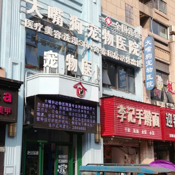 大嘴狗宠物医院(万达店):蚌埠市蚌山区万达广场附近