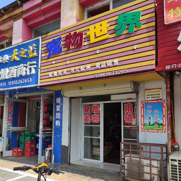 宠物世界:蚌埠市蚌山区宏业村附近