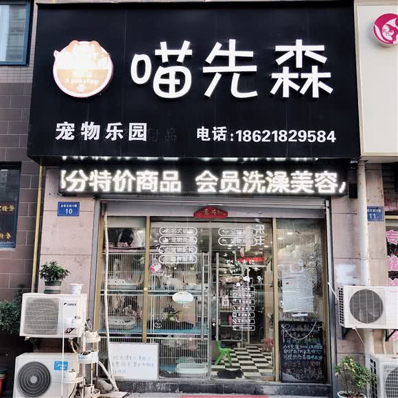 喵先森:蚌埠市禹会区禹会区中心/张公山附近