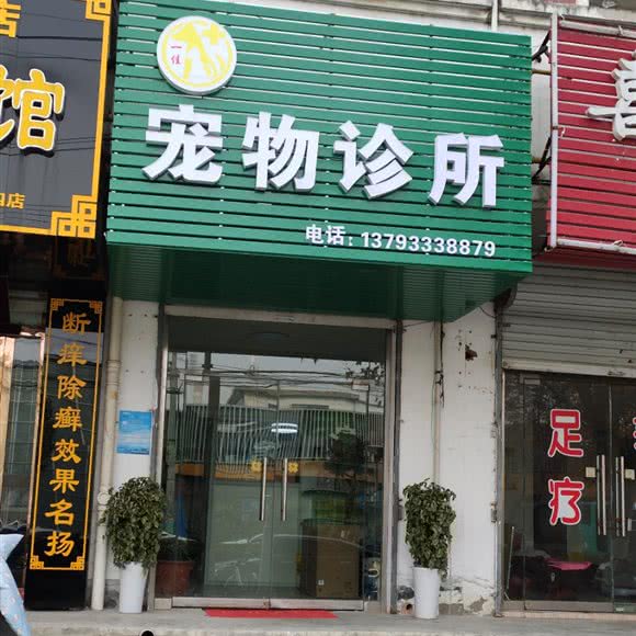 一佳宠物诊所:蚌埠市禹会区禹会区中心/张公山附近