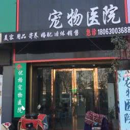 优格宠物医院:淮南市田家庵区洞山附近