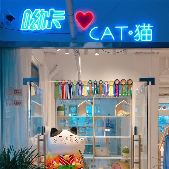 呦卡CAT猫(撸猫馆):淮南市田家庵区商贸文化广场附近