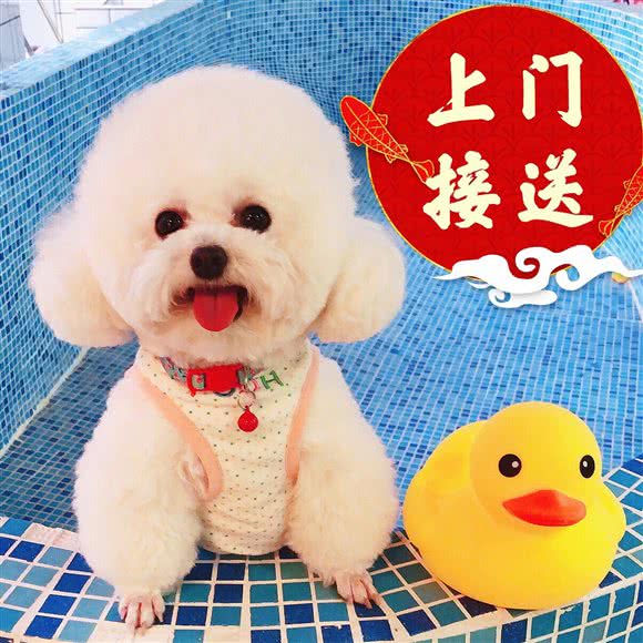 萌合宇田 宠物洗护·寄养:北京城区大兴区亦庄附近