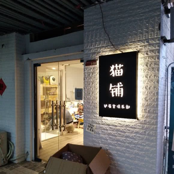 猫铺铲屎官俱乐部:淮南市田家庵区商贸文化广场附近
