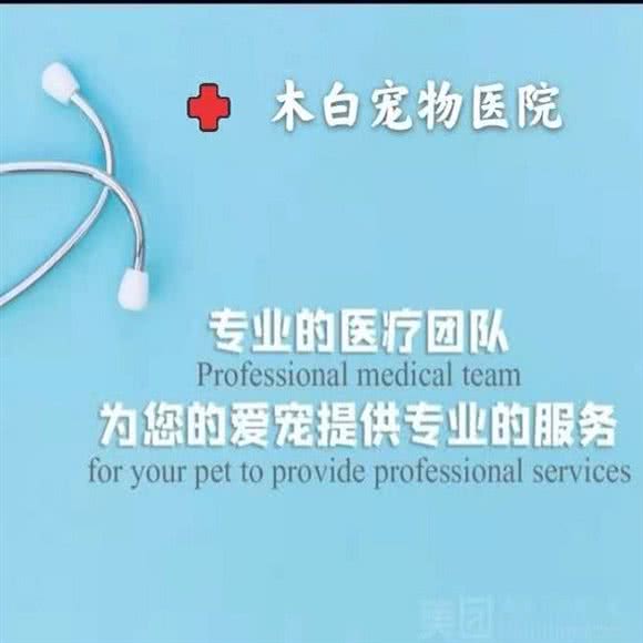 木白宠物医院:淮南市田家庵区前锋附近
