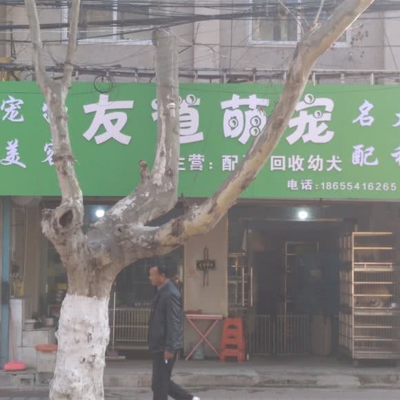 友道萌宠:淮南市田家庵区街里附近