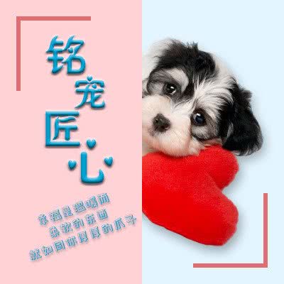 铭宠匠心生活馆:北京城区大兴区亦庄附近