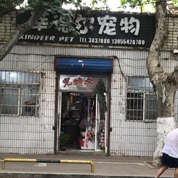 莘德尔宠物:淮南市田家庵区街里附近