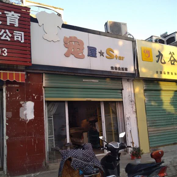 宠屋Sky:淮南市田家庵区老体育场附近