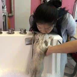 亦庄卡地金时尚宠物生活馆:北京城区大兴区亦庄附近