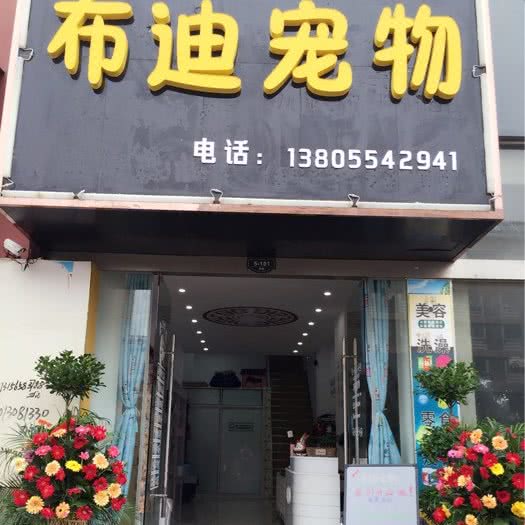 布迪宠物:淮南市田家庵区铁三处附近