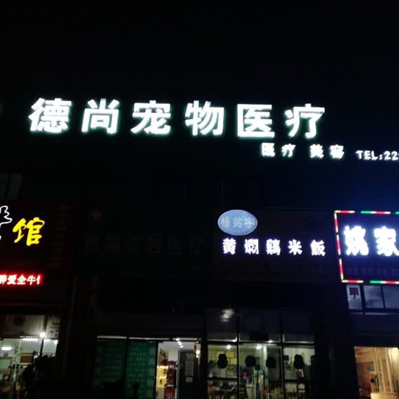 德尚宠物医疗:淮南市田家庵区惠利花园附近
