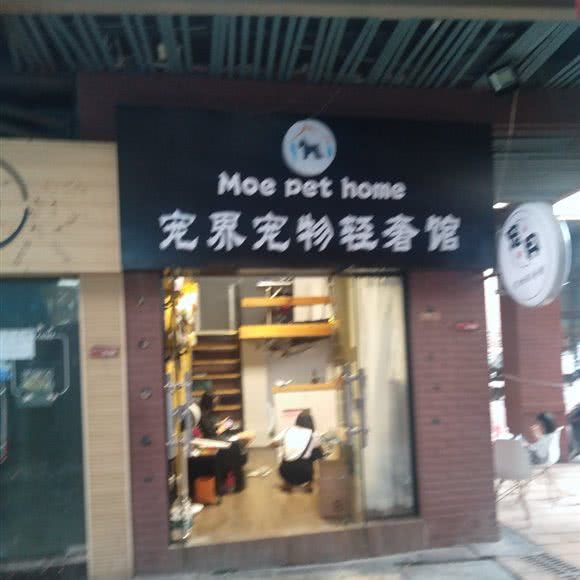 宠界宠物轻奢馆:淮南市田家庵区龙湖中心附近