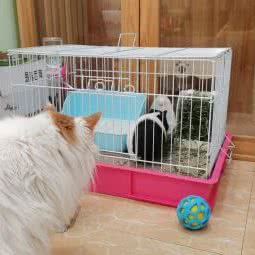 喵酱宠物生活馆:北京城区大兴区亦庄附近