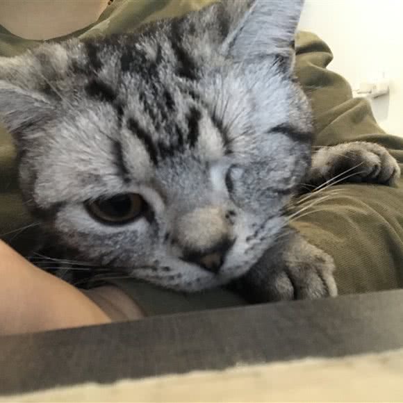 M星小卖部:马鞍山市花山区湖东北路附近