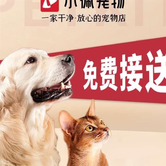 小佩宠物(富兴国际店):北京城区大兴区亦庄附近