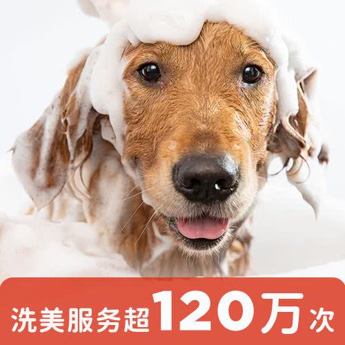 宠物家(林肯公园店):北京城区大兴区亦庄附近