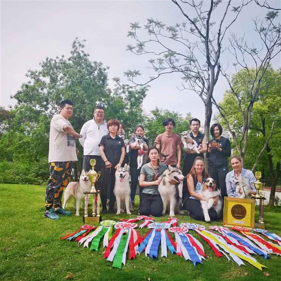 来宝宠物度假村:北京城区大兴区亦庄附近