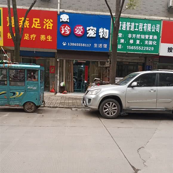 珍爱宠物:马鞍山市雨山区伟星时代广场附近