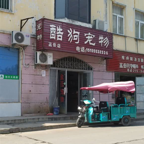 酷狗宠物(高岳店):淮北市杜集区高岳路附近