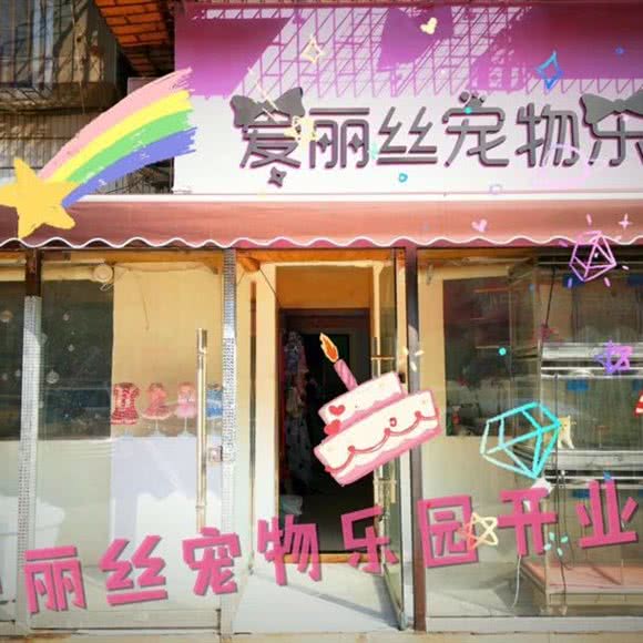 爱丽丝宠物乐园:淮北市相山区淮海中路附近