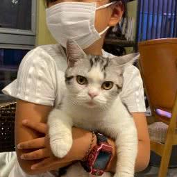 猫样生活:北京城区大兴区亦庄附近