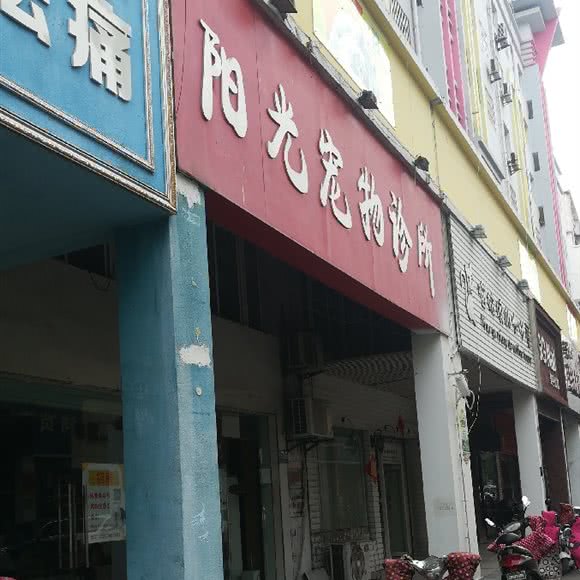 阳光宠物诊所(惠苑路商业街店):淮北市相山区步行街附近