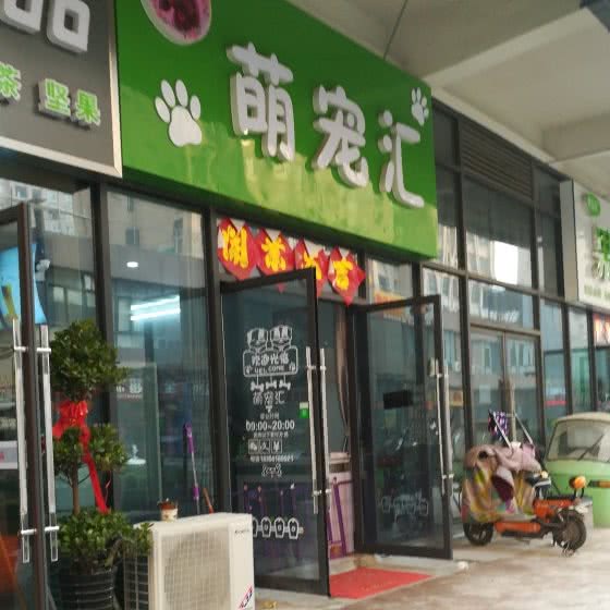 萌宠汇:淮北市相山区国购广场附近