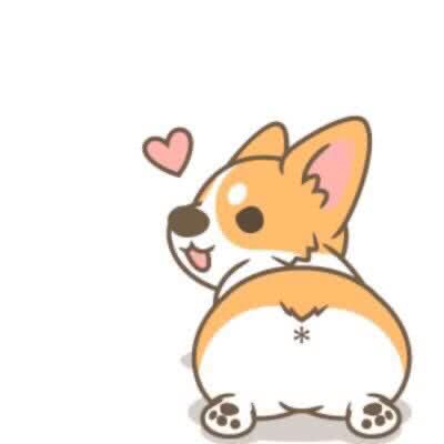 大龙猫宠物店:淮北市相山区云天地壹街附近