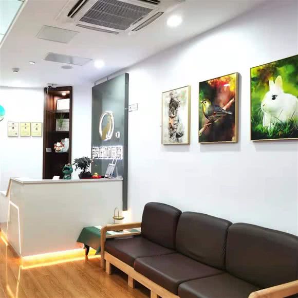 长春猫友好动物医院:北京城区大兴区亦庄附近