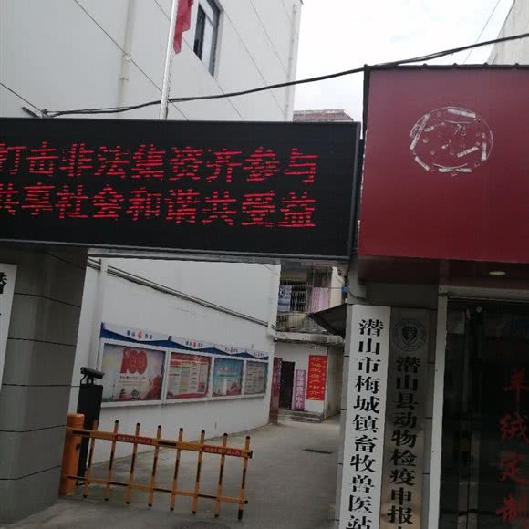 潜山县梅城镇畜牧兽医站:安庆市潜山市潜山市附近