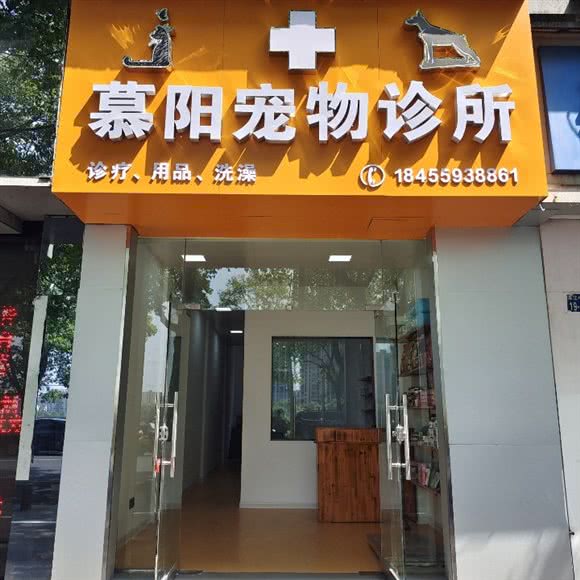 慕阳宠物诊所:黄山市屯溪区大润发附近