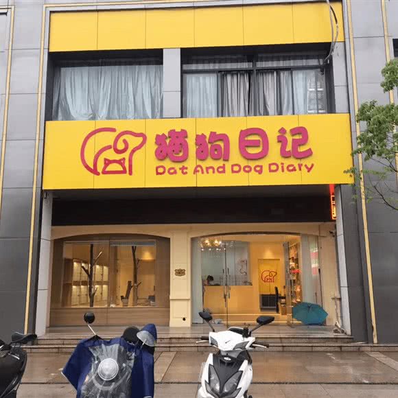 猫狗自传:黄山市屯溪区黄口附近