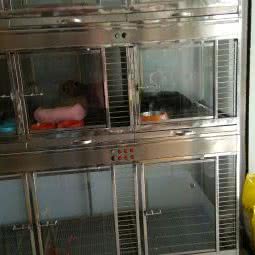 丁丁宠物会馆:黄山市屯溪区人民医院附近