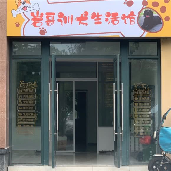 岩哥训犬生活馆:黄山市徽州区高铁新区附近