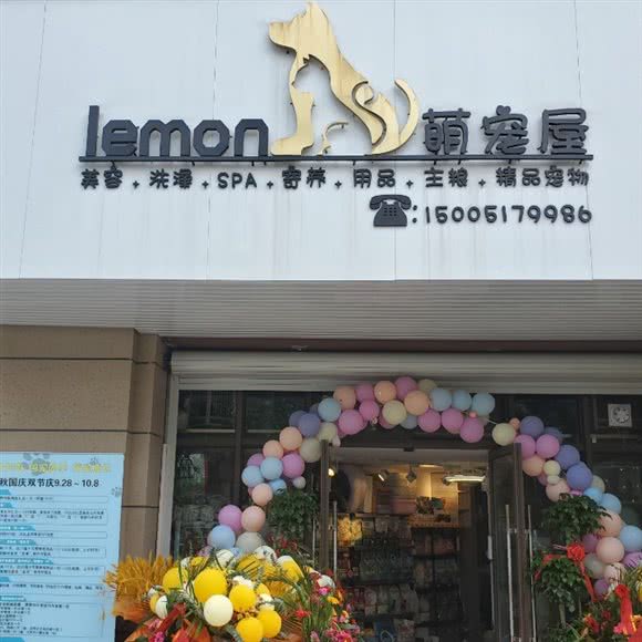 lemon萌宠屋:滁州市琅琊区天长路附近