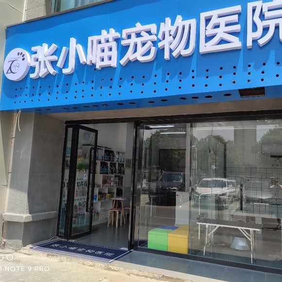 张小喵宠物医院:阜阳市颍州区颍州万达广场附近