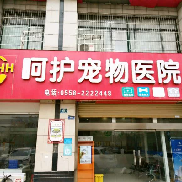 呵护宠物医院(万达店):阜阳市颍州区颍州万达广场附近