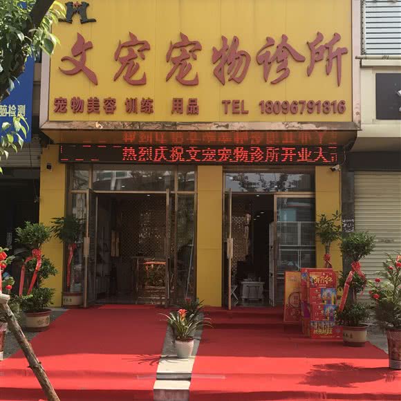 文宠宠物诊所(天瑞名城店):阜阳市颍州区颍州万达广场附近