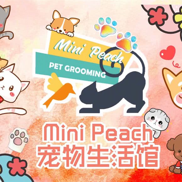 Mini Peach宠物生活馆:北京城区大兴区黄村附近