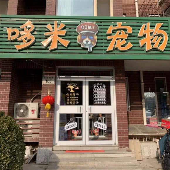 哆米宠物狗:北京城区大兴区黄村附近